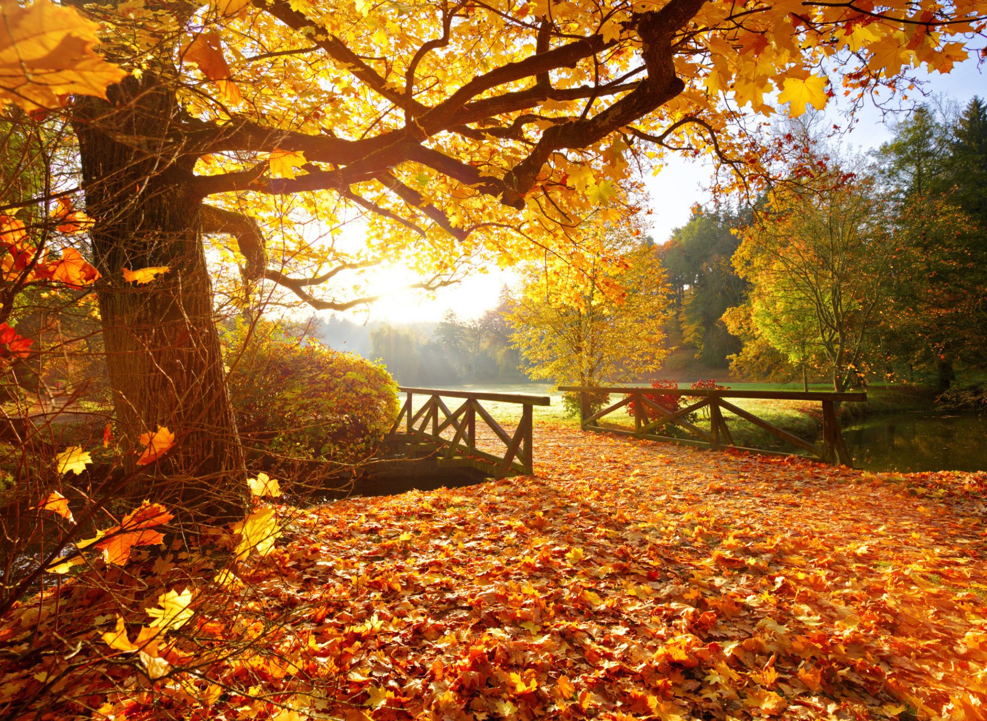 Featured Photo